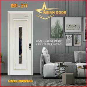 Cửa kính soi huỳnh BR-211