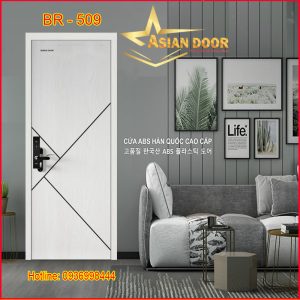 Cửa ABS CNC BR-509
