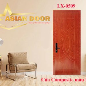 Cửa Composite DW-206/M16 LX 0509