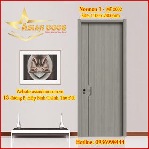 Cửa Cacbon Normon1-MF 0002