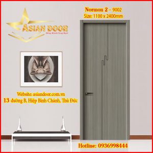 Cửa Cacbon Normon 2-9002