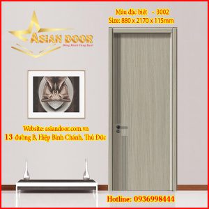 Cửa Cacbon màu đặt biệt-3002