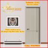 Cửa Cacbon Technology1 XQ-0002
