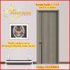 Cửa Cacbon Xuanke fanko1-LT