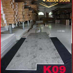 K09