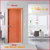 CỬA IN PVC MÃ N2