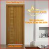 Cửa gỗ phẳng FD 25