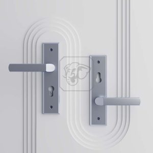 tntex02vdeco2 6